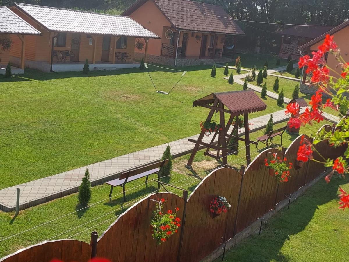 Pensiunea Sonia Cîrţişoara Esterno foto