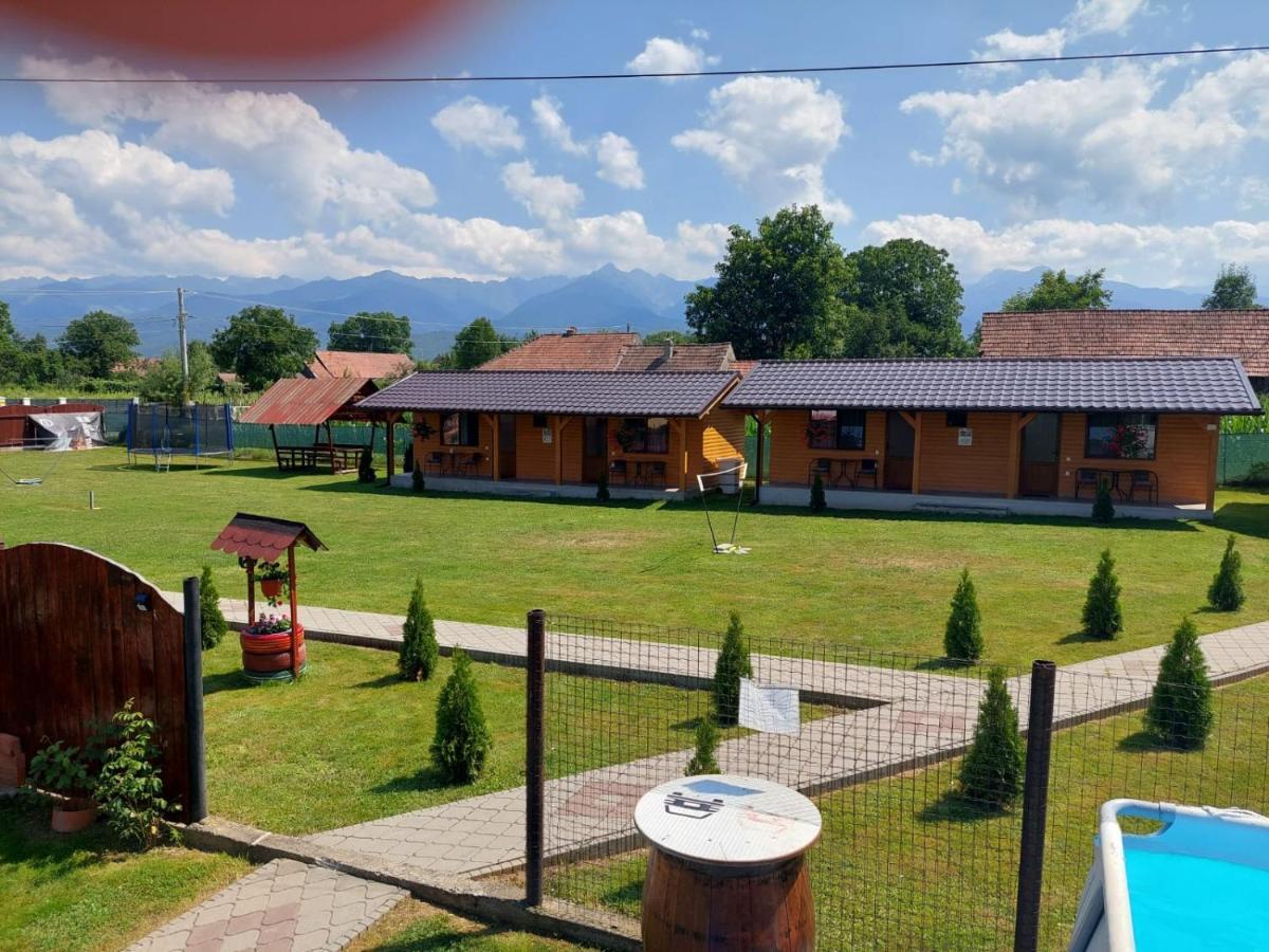 Pensiunea Sonia Cîrţişoara Esterno foto