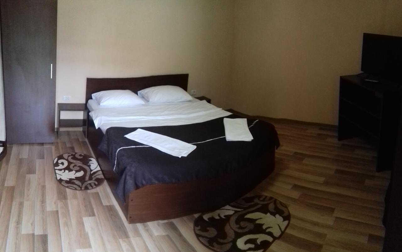 Pensiunea Sonia Cîrţişoara Esterno foto