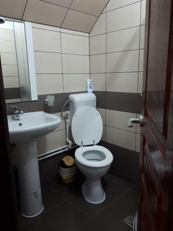 Pensiunea Sonia Cîrţişoara Esterno foto